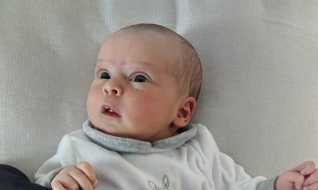 Benvenuta Anita, nuova diavoletta montana!